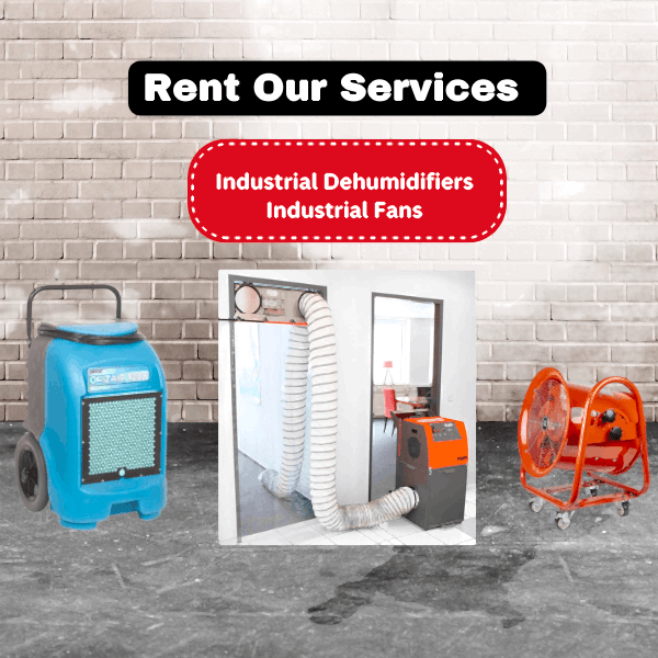 Dehumidifying